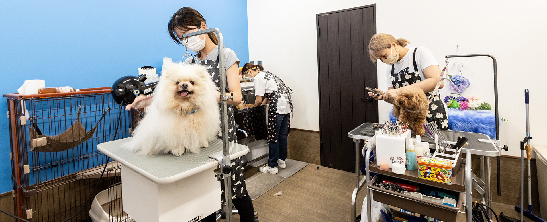 Dog design & stay NINE BASE