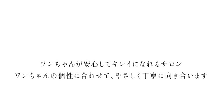 ワンちゃんが安心してキレイになれるサロン ワンちゃんの個性に合わせて、やさしく丁寧に向き合います